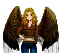 Maximum Ride
