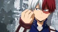Shoto Todoroki 