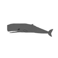 AU-Sperm Whale