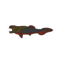 AU-Dunkleosteus