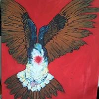 Dove