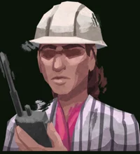 Development Director