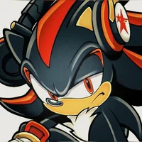 SHADOW T HEDGEHOG 