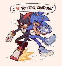 Sonic and Shadow 