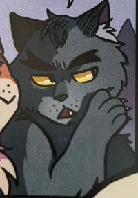 Graystripe