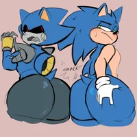 Sonic and Metal S