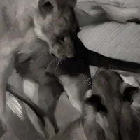 CERSEI