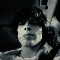 Chris Owen Sturniolo