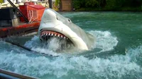 The Jaws Ride