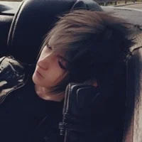Noctis Lucis Caelum
