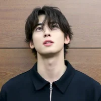 Cha Eunwoo