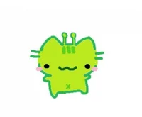SILY 00 DIVIDER