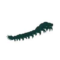 AU-Hell Caterpillar