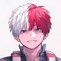 Shoto Todoroki
