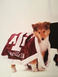 Puppy Reveille