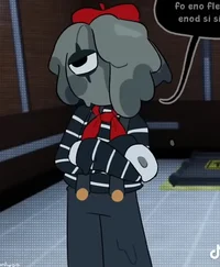 - Blot -