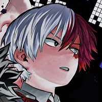 Shoto todoroki 