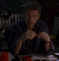 01 GREGORY HOUSE