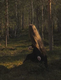 Cenizas en el bosque