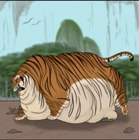 Fat tiger