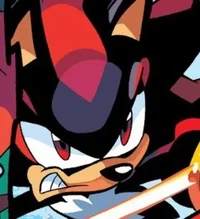 Shadow The Hedgehog