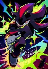 SHADOW T HEDGEHOG 