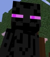 M - Enderman