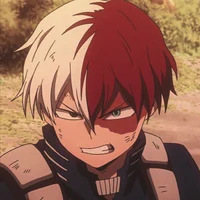 Shoto Todoroki 