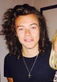 harry styles - 2015