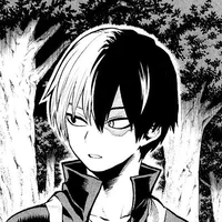Shoto Todoroki 