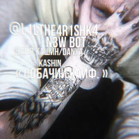 Данила Кашин