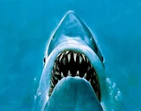 Jaws