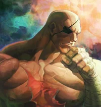 Sagat