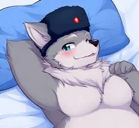 Makar Volkov