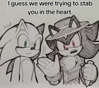Shadow and Sonic VHD