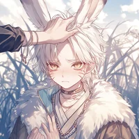 Wolf x Rabbit