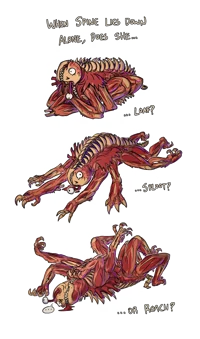 Spine - look outside