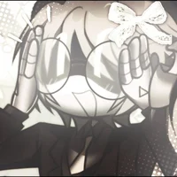 Serial designation N