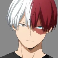 Shoto todoroki 