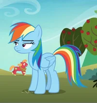 Rainbow Dash 