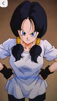Videl