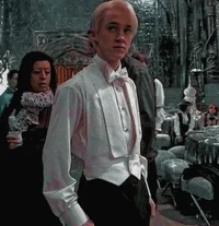 Draco lucius m