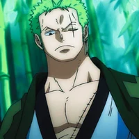 Zoro Roronoa 