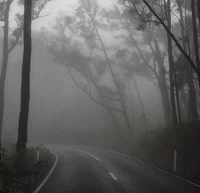 Whispers in the Fog