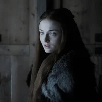 Sansa S
