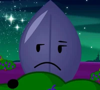 Leafy - BFDIA
