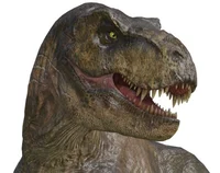 Rexy