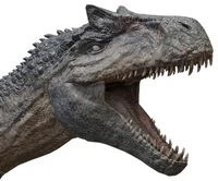 Allosaurus