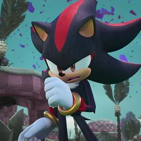 Shadow - Sonic P