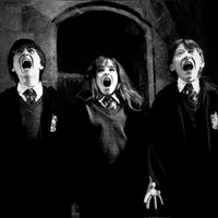 015-THE GOLDEN TRIO